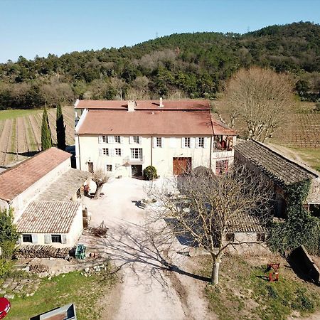 Gite Vert D'Olive Au Milieu Des Vignes. Chateau Les Apies Les Arcs-sur-Argens Extérieur photo